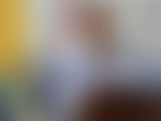 MARÍA PAULA ROMO DESTITUIDA DE SU CARGO