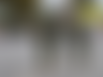 BRIGADA N.° 11 GALÁPAGOS, REALIZÓ LA CEREMONIA CÍVICO MILITAR PORLA BATALLA DE PICHINCHA