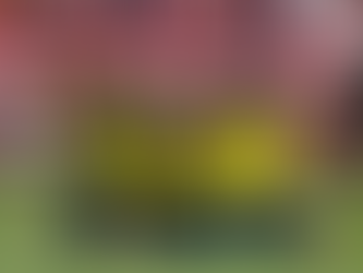 ECUADOR SE IMPUSO A VENEZUELA EN QUITO