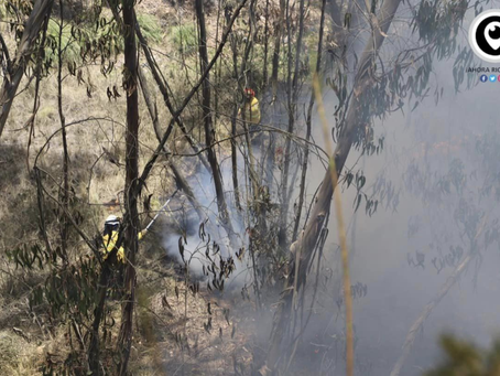 EN LOS ÚLTIMOS DÍAS 10 INCENDIOS FORESTALES FUERON CONTROLADOS