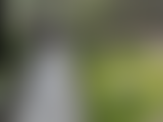 PUENTE DE PALITAHUA EN PENIPE COLAPSÓ