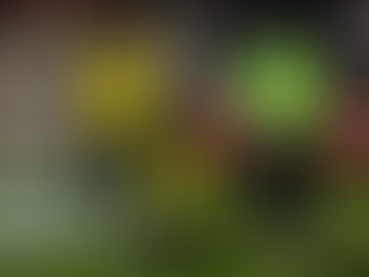 ¡HISTÓRICO! ECUADOR VENCE A CHILE DE VISITANTE