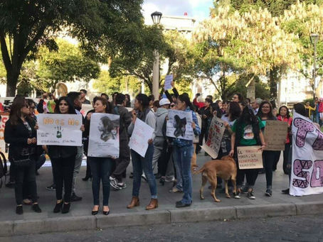 Plantón en el Parque Sucre ante los hechos de violencia ocurridos en el país.