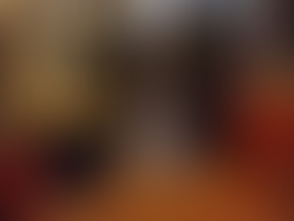 OPERATIVOS DE CONTROL A CARGO DE BRIGADA DE CABALLERÍA BLINDADA N.° 11 "GALÁPAGOS"