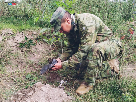 GRUPO DE CABALLERÍA BLINDADA N.° 31 MACHALA, REALIZÓ LA ACTIVIDAD DE REFORESTACIÓN