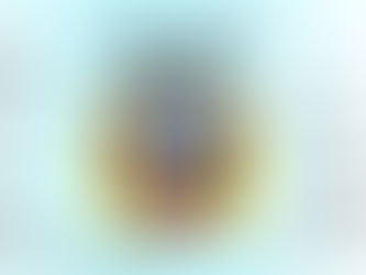 31 DE OCTUBRE: DÍA DEL ESCUDO NACIONAL