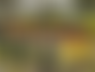 RECOMENDACIONES DEL CUERPO DE BOMBEROS RIOBAMBA