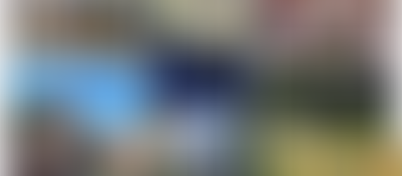 O2.WS ”Selection and Development of the Activity Plans for the International ResourceBook” in Romania, Deva