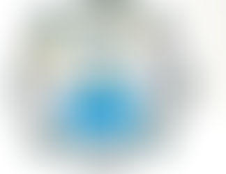 Vrtec (Kindergarten) Hrastnik awarded the STEM School Label – recognition for excellence in STEAM education!