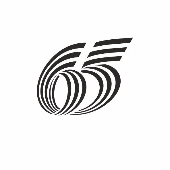 65 лет Победы
