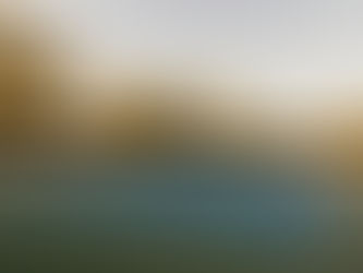 13/01 - 19/01 澳洲一周要闻｜AO 赛季，澳洲带网球场的区域大公开！ ｜Trump 上任前一天发行「迷你币」，一夜狂赚 500 亿？ ！ ｜租金创历史新高，首府城市楼价却增长停滞？