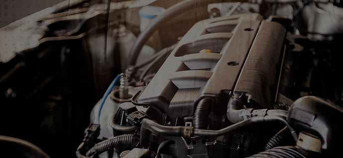 Banner pag web - Especialidades UM.jpg