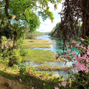 Rainbow Springs State Park