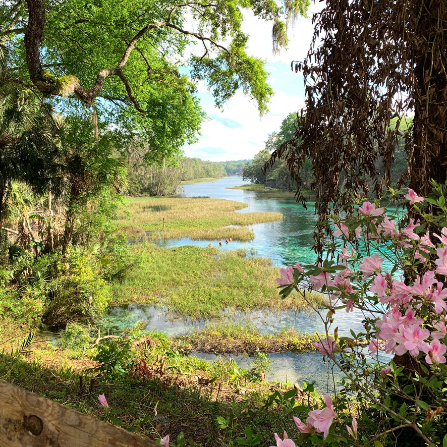 Rainbow Springs State Park