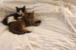 leave us alone!