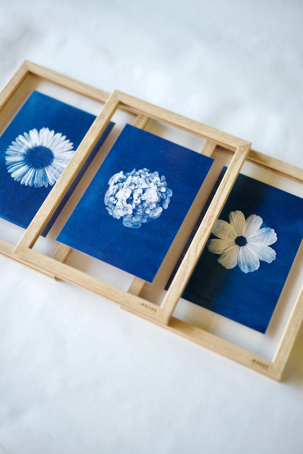 Miniature : Cadre bois Cyanotype Cosmos