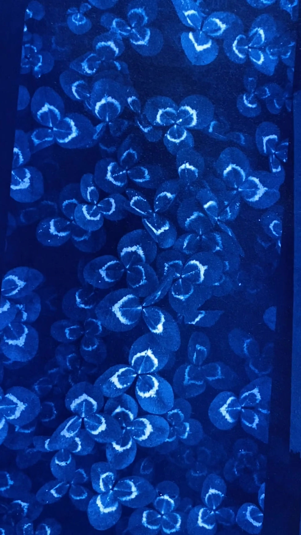 Miniature : Décoration murale Cyanotype Trèfles