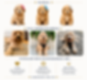 ChatGPT Image Jun 5, 2026, 10_07_54 AM_edited.png
