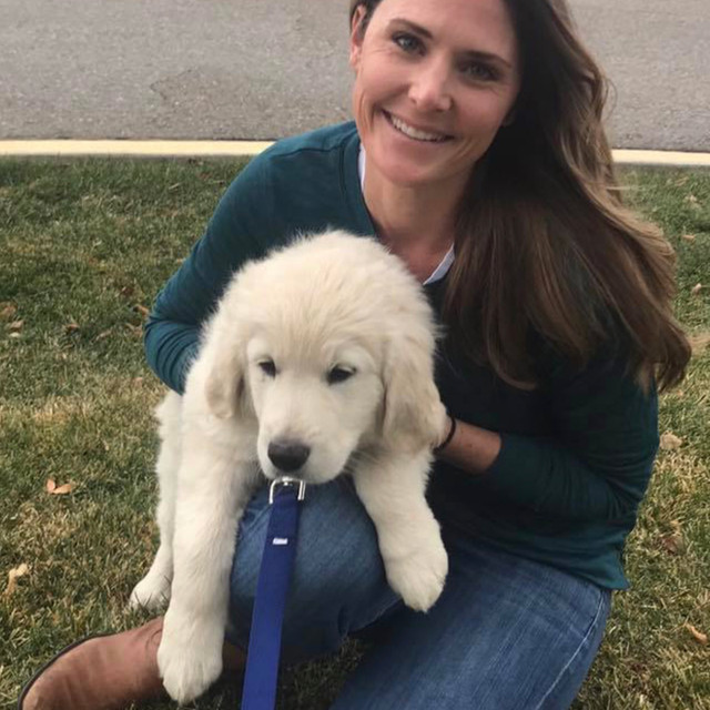 Gallery English Cream Golden Retriever Puppies In Idaho