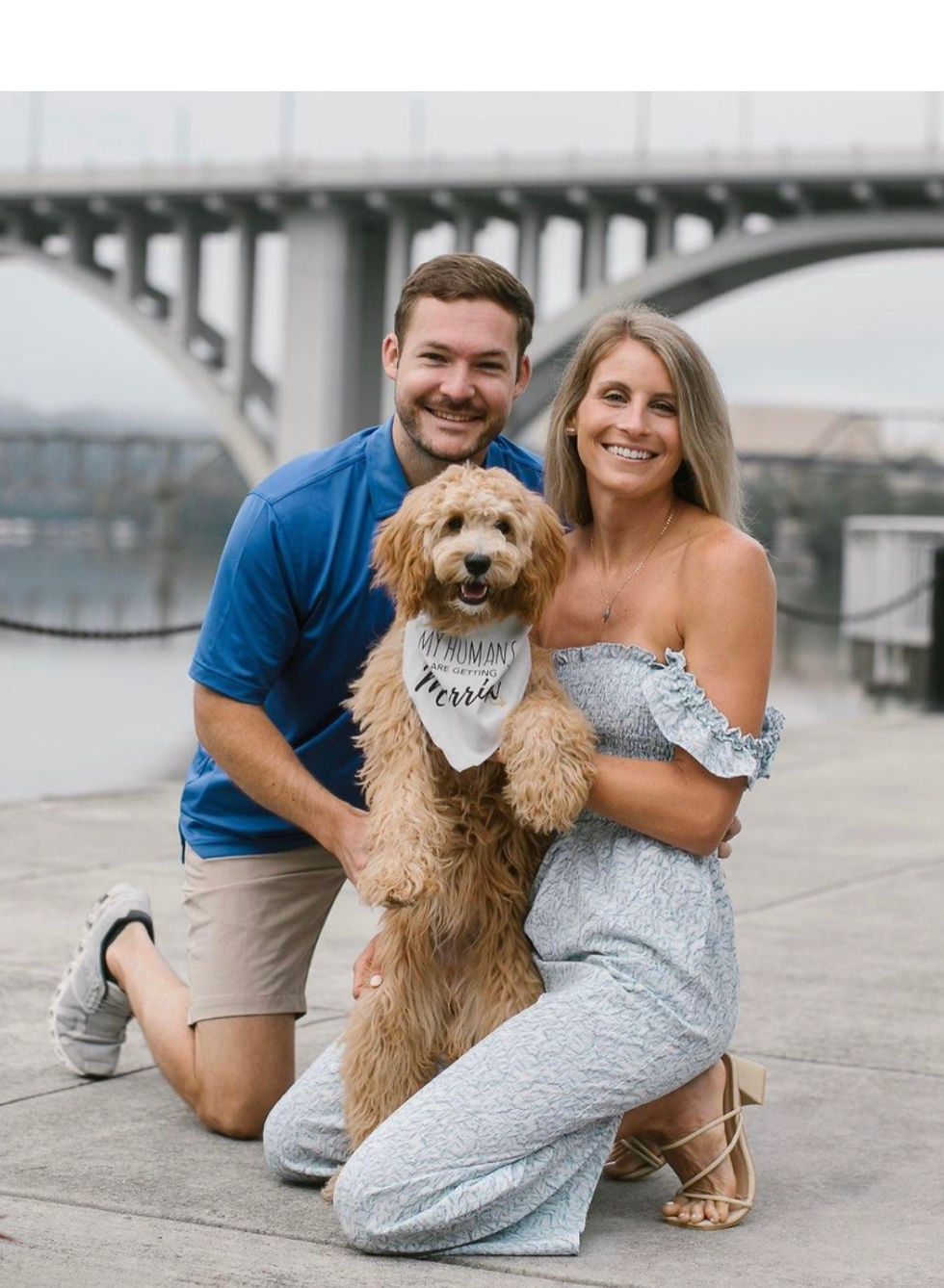 mini goldendoodle san francisco