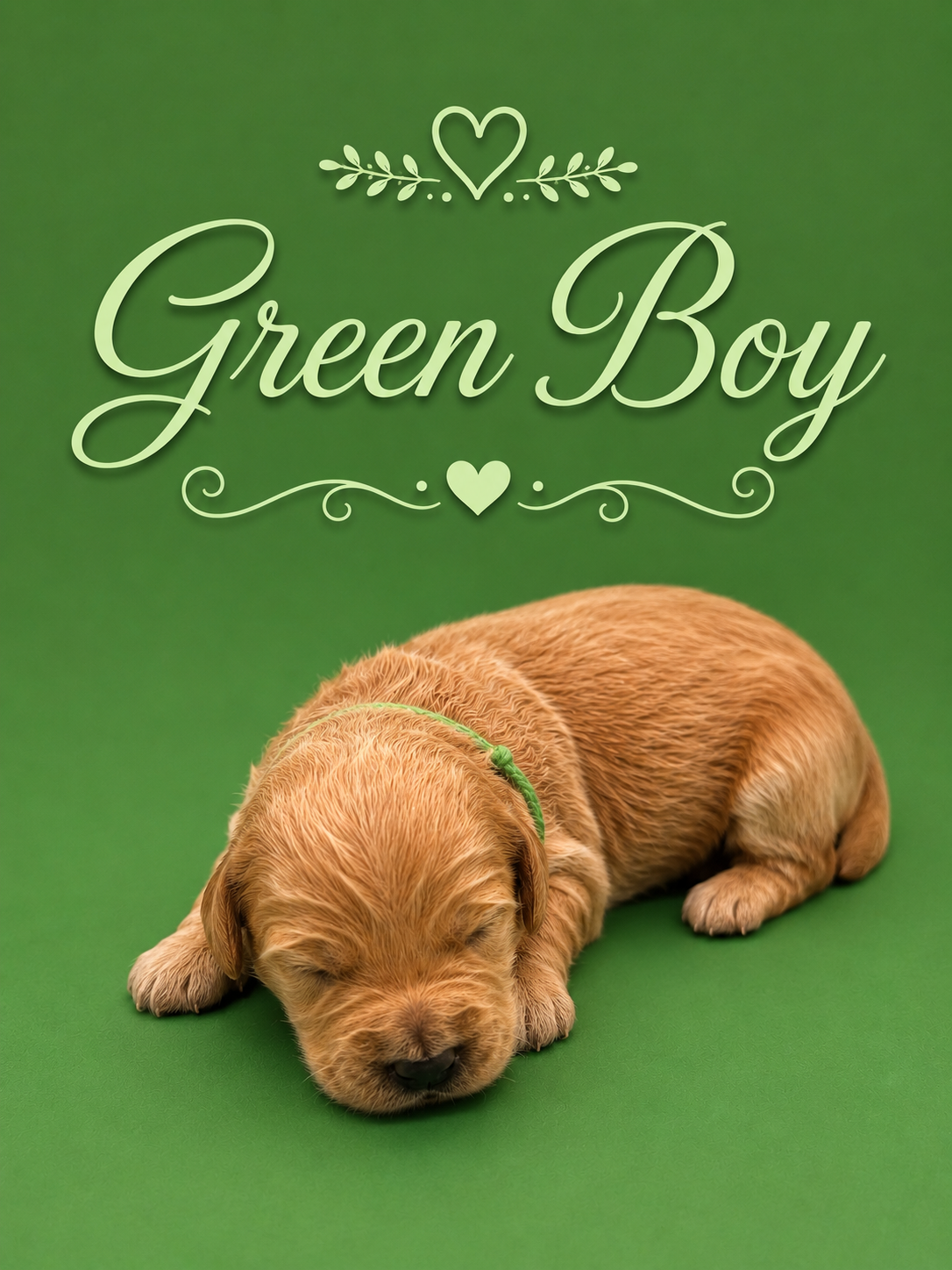 Polar's Green Boy