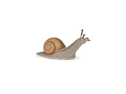 Escargot – Papo