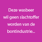 bont is niet hip