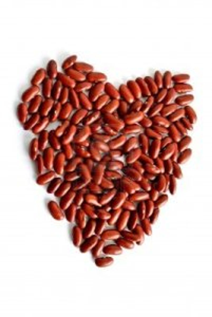 10084066-heart-of-red-kidney-bean-on-white-isolated