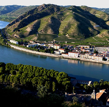 Rhone vallee.jpg
