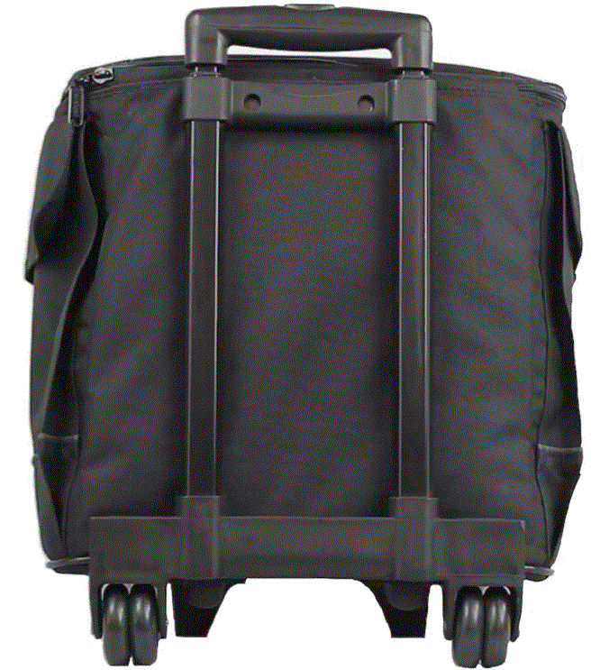 Miniatura: Bagavin 12 bottiglie (tariffa PRO incl.)