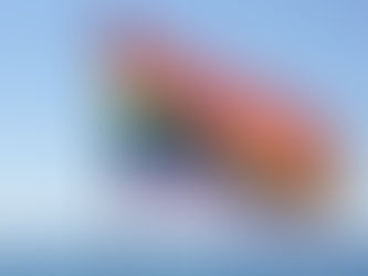 Why do I identify as a gay author?