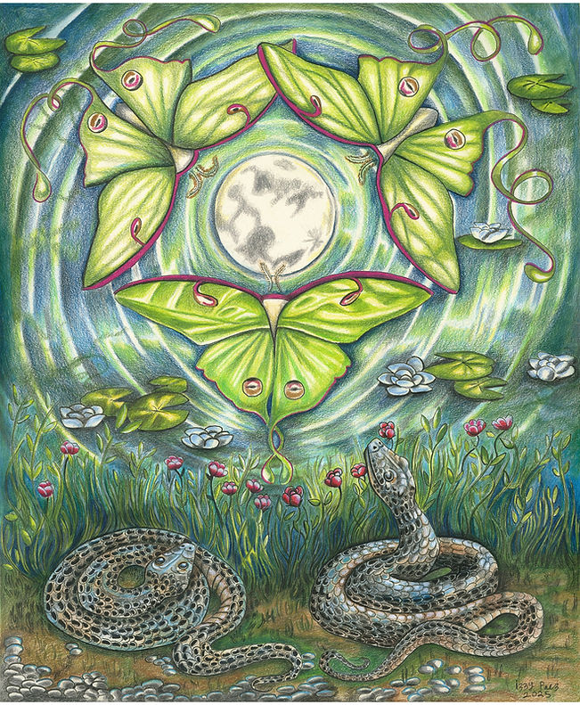 Untitled_Artwork (10).jpg