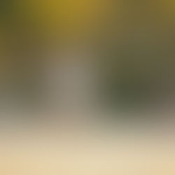 サマーを終え、リーグ戦に向けて 〜1回MF細田唯翔〜