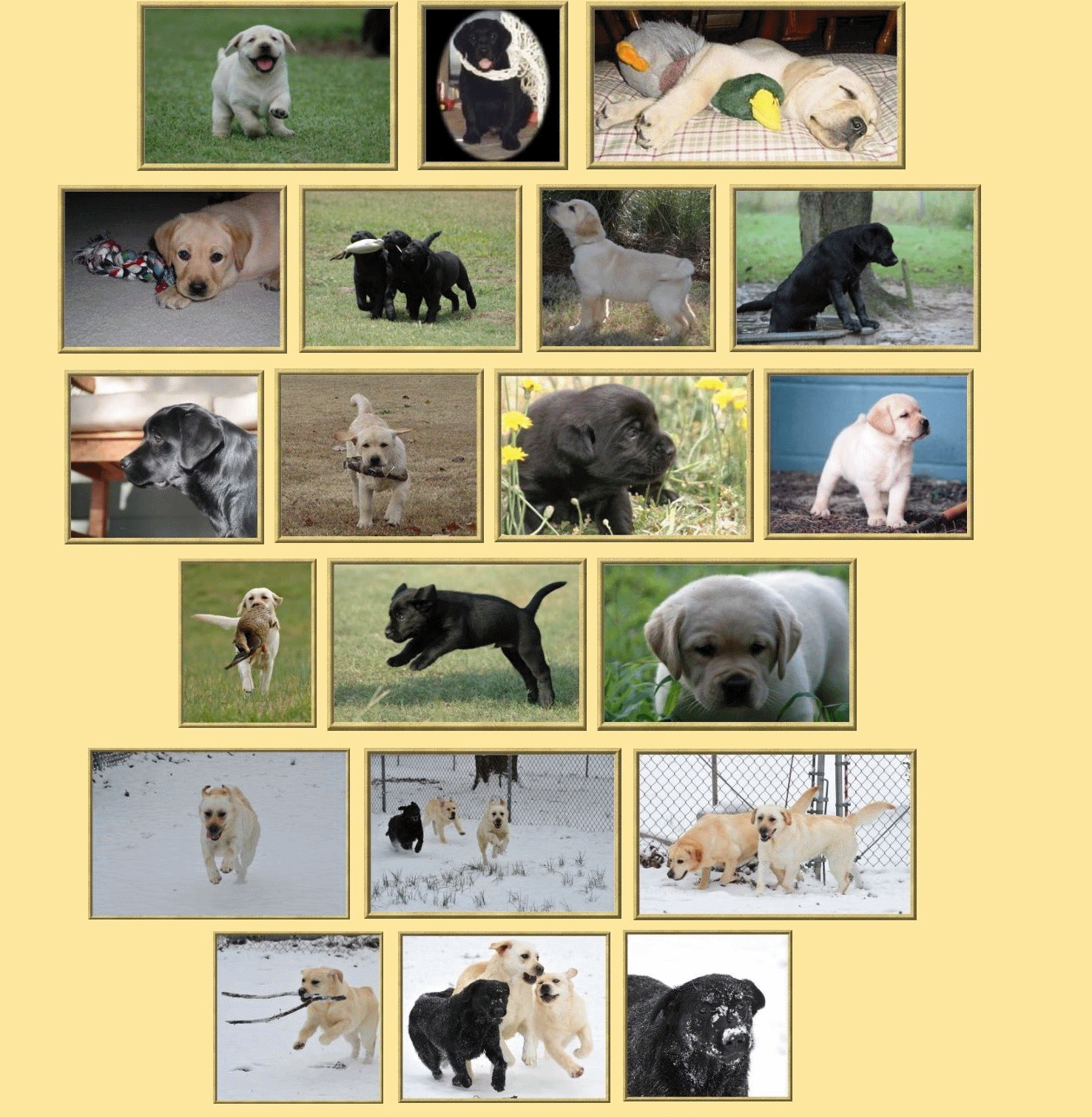 Photo Album Page.gif