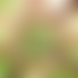 A world of kindness. An array of hands around an invisible globe