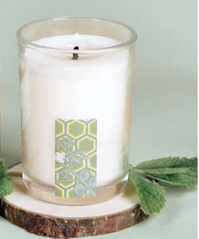 Thumbnail: Soy Free Aromatherapy Candles - Cedar Mint