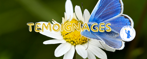 Ces témoignages montrent que chaque service répond à un besoin précis, avec un même socle de valeurs : bienveillance, professionnalisme, respect de l’enfant et accompagnement des parents.