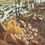 Thumbnail: Close Exploration, study