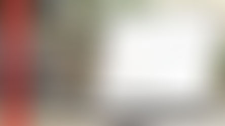 HPE FOMENTA LA IA EN GESTIÓN EN REDES