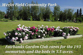 Fairbanks Weeks Field.jpg