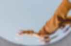 2H3A6710_edited.jpg