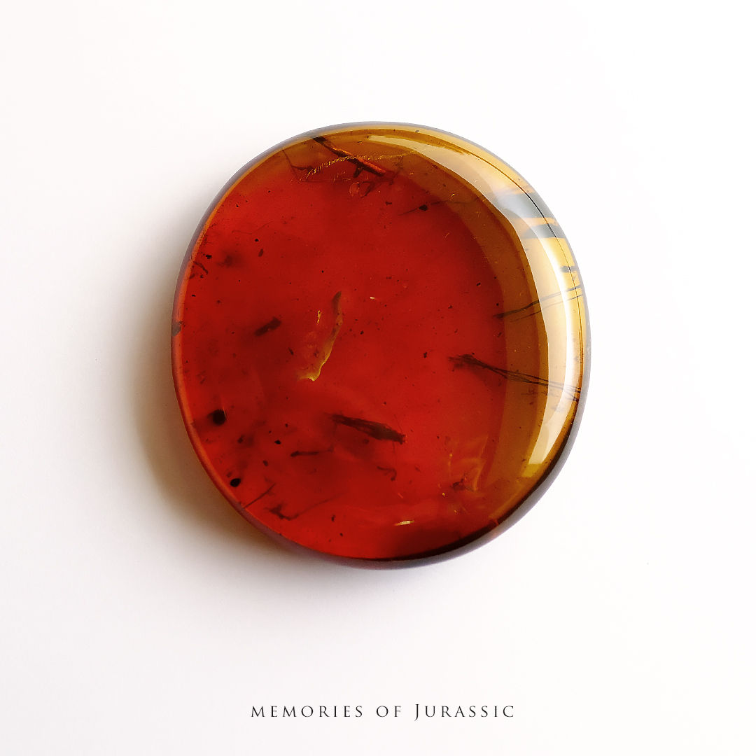 琥珀原石『MEMORIES OF JURASSIC』K-g100