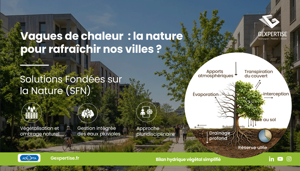 Visuel les solutions fondées sur la nature au service de villes plus résilientes