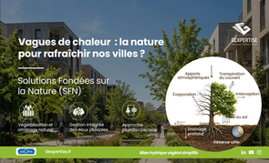 Résilience climatique - Vagues de chaleur : les solutions fondées sur la nature au service de villes plus résilientes