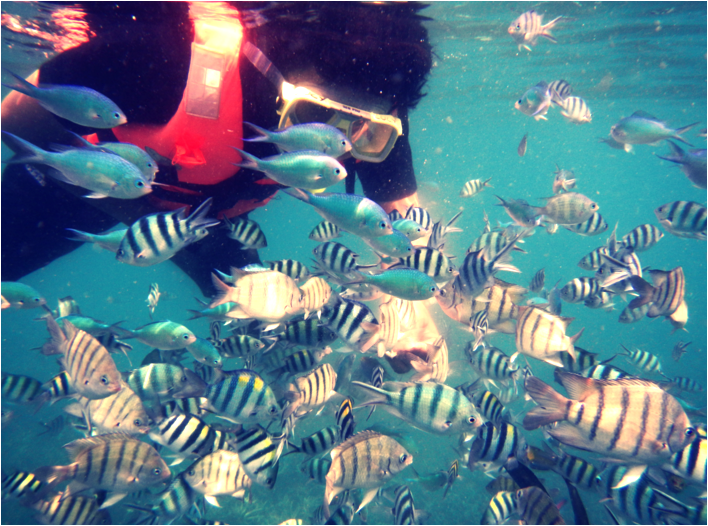 perhentian 4.png