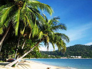 Pulau Pangkor , Perak