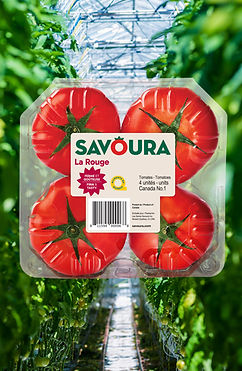 Tomates_Savoura.jpg