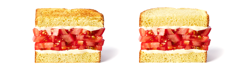 Toaste_PasToaste.png