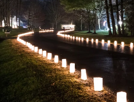 Holiday Luminaries