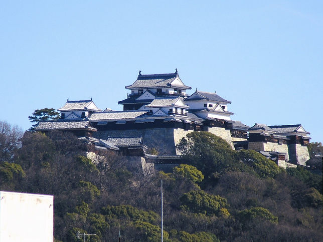 現場からの松山城IMG_4657.JPG